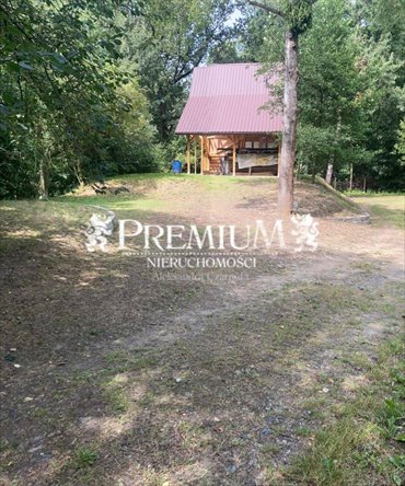 działka na sprzedaż 9500m2 działka Mienice, Mienice