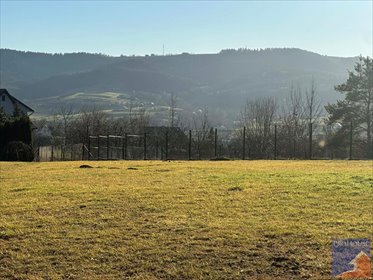 Działka 2000 m2 z warunkami zabudowy w Kłodnem działka Kłodne