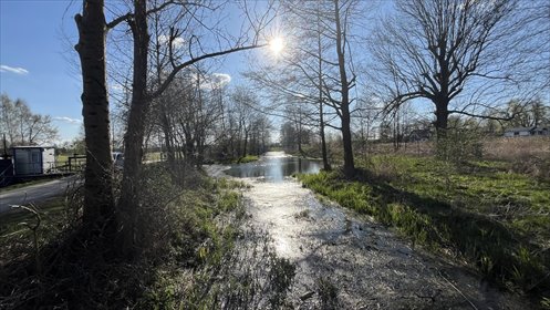 Malownicza działka z domem do remontu w Borowcu dom Borowiec