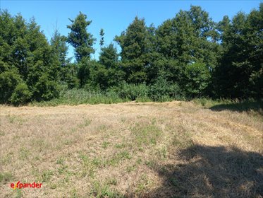 Działka rolna 5022 m² z mediami, las i jezioro w Likiec działka Likiec