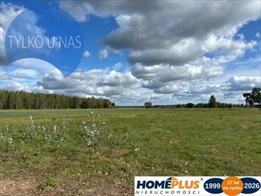 Działka rolna 14 000 m² z dostępem do rzeki Beniaminówka działka Łąki