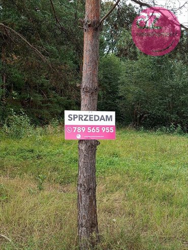 Działka inwestycyjna 25,5 ara - Łużna - przy drodze wojewódzkiej działka Łużna