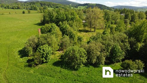 Działka przemysłowo-handlowa na sprzedaż Goszów 4 146m2 Foto 2