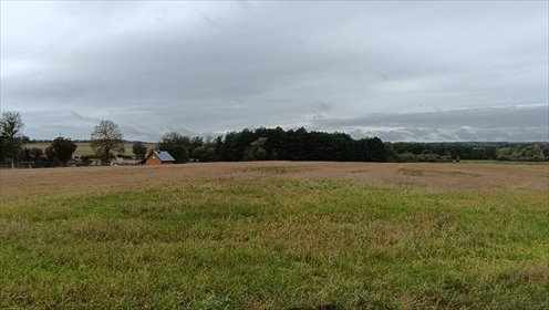 działka na sprzedaż 3200m2 działka Ełganowo, Teodora Wrzesińskiego