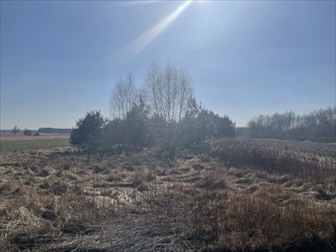 działka na sprzedaż 12365m2 działka Rasztów