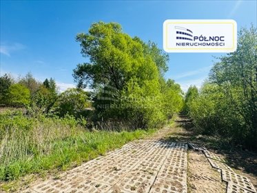 działka na sprzedaż 21500m2 działka Bobrowiec