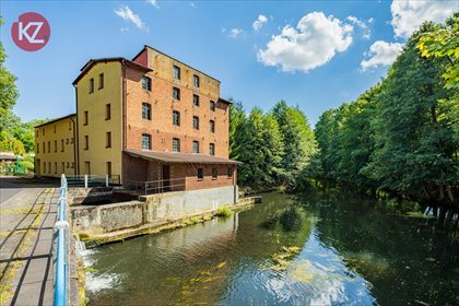 lokal użytkowy na sprzedaż 1280m2 lokal użytkowy Czapla