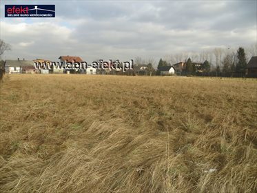 Działka budowlana na sprzedaż Bujaków 3 633m2 Foto 7