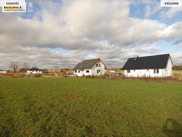 działka na sprzedaż 1500m2 działka Budno