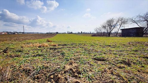 działka na sprzedaż 4700m2 działka Miłocin