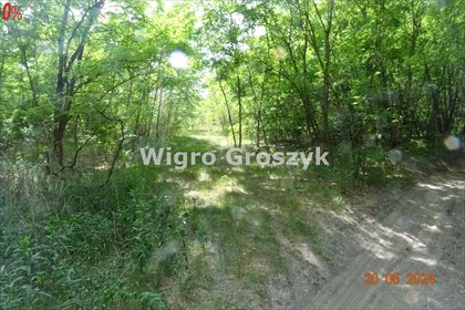 Na sprzedaż działka 5296 m² pod rekreację i inwestycję działka Ługówka