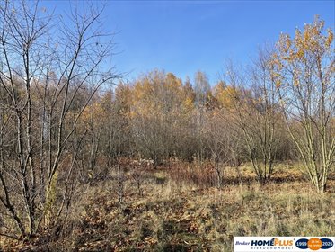 działka na sprzedaż 5428m2 działka Słupno