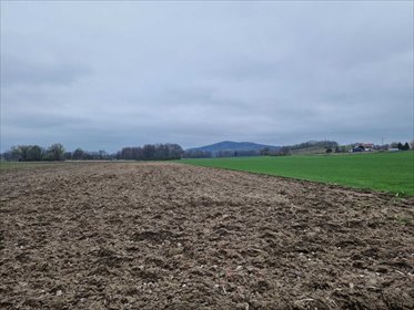 działka na sprzedaż 5900m2 działka Łagiewniki, Jaźwina