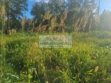 Do sprzedania przestronna działka 3177 m² z mediami i lasem działka Ojrzanów