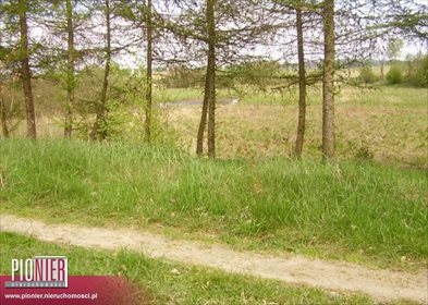 działka na sprzedaż 45400m2 działka Złocieniec