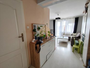Zapraszam do obejrzenia 2-pokojowego mieszkania 34,7 m² w Legnicy mieszkanie Legnica