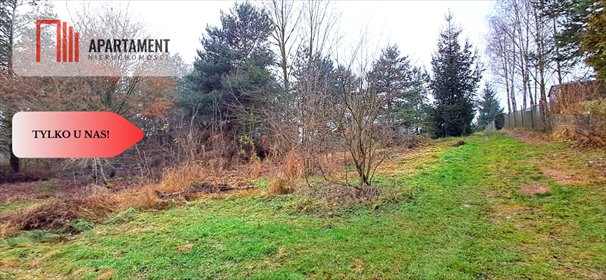 działka na sprzedaż 298m2 działka Wierzchucinek