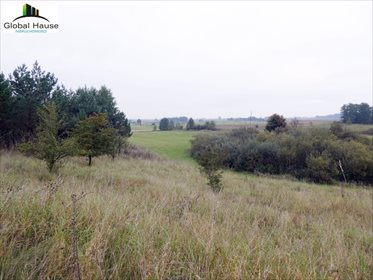 Działka rolna na sprzedaż Królowa Wola 28 400m2 Foto 7