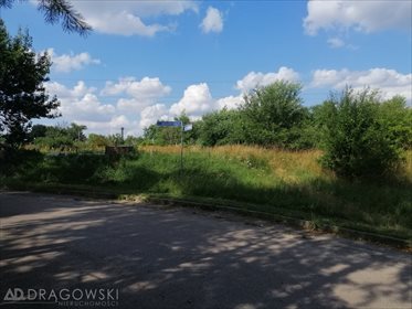 Działka budowlana na sprzedaż Ryki 8 707m2 Foto 2