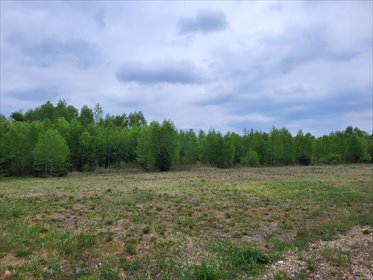 działka na sprzedaż 900m2 działka Rybno