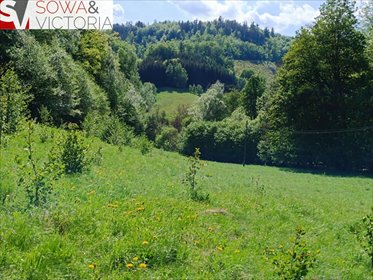 Działka 8 400 m² pod inwestycję turystyczną - las, strumyk działka Michałkowa