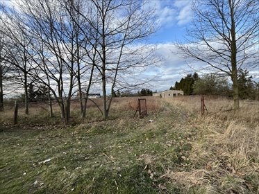 działka na sprzedaż 7000m2 działka Ścinawa, Jana Dzierżonia