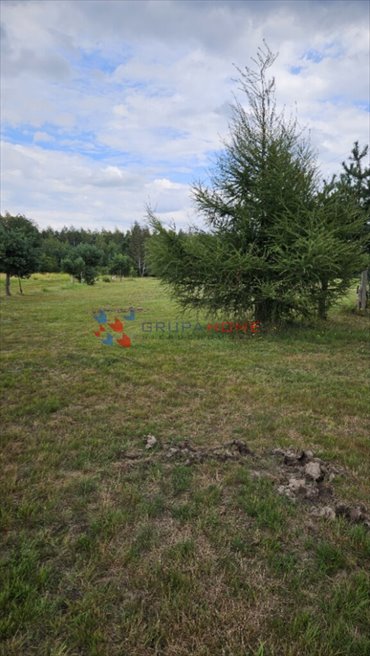 Polecam działkę 1121 m² w Nowym Wągrodnie, cicha okolica działka Nowe Wągrodno