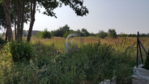 Działka 1900 m² pod zabudowę w Maszewie - polecam! działka Maszewo