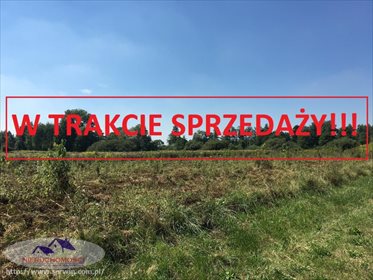 Działka rolna na sprzedaż Suchy Grunt 11 600m2 Foto 1