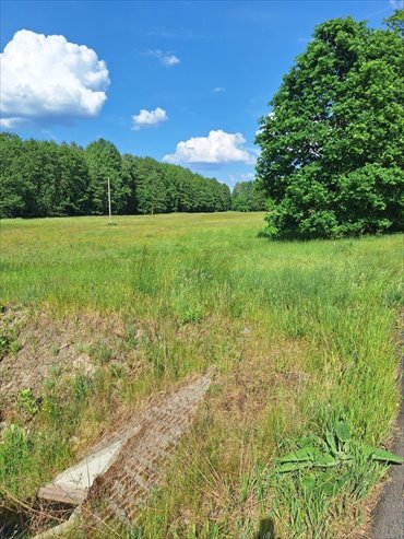 Działka usługowo-mieszkaniowa w Tanowie - 0,32 ha. działka Tanowo, Szczecińska