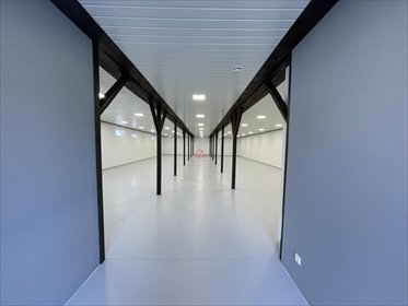 Lokal użytkowy na wynajem Staszów, al. Tadeusza Kościuszki 350m2 Foto 4