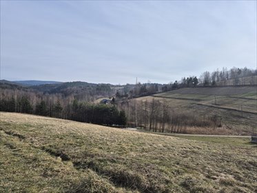 działka na sprzedaż 5504m2 działka Obarzym