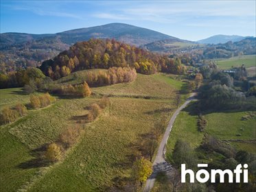 Polecam działkę 2119 m² w Górach Sowich z MPZP, do 2 kondygnacji działka Walim, Kolonia Górna