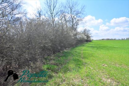 Działka rolna na sprzedaż Uzarzewo, Katarzynki 16 100m2 Foto 7