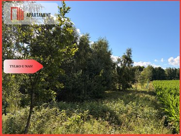 Zalesiona działka 950 m² w spokojnej okolicy działka Nowa Karczma