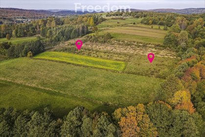 działka na sprzedaż 8100m2 działka Grabówka