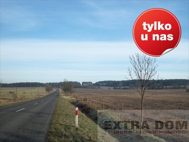 działka na sprzedaż 690000m2 działka Sulęcin