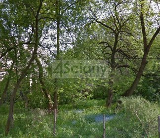 działka na sprzedaż 1136m2 działka Reguły