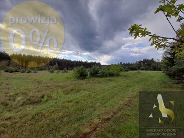 Działka budowlana na sprzedaż Tomisław 5 582m2 Foto 1