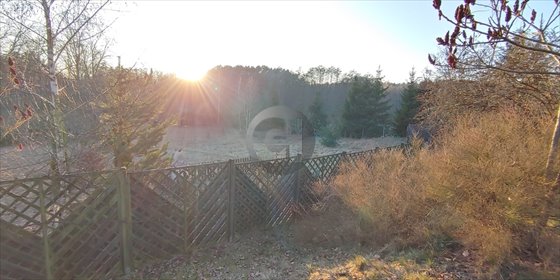 Na sprzedaż przestronny dom 185 m² na 1,2 ha z kominkiem i pięknym widokiem dom Sokola Dąbrowa