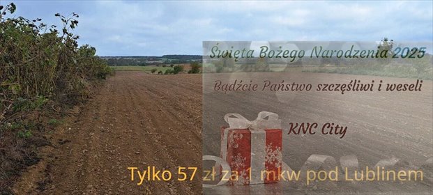 działka na sprzedaż 10477m2 działka Panieńszczyzna