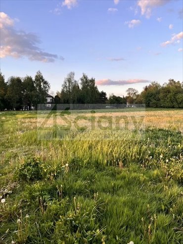 działka na sprzedaż 4000m2 działka Święcice