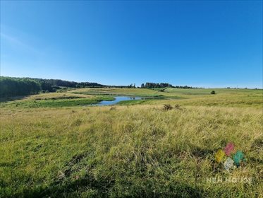 Działka budowlana na sprzedaż Sąpłaty 23 600m2 Foto 3