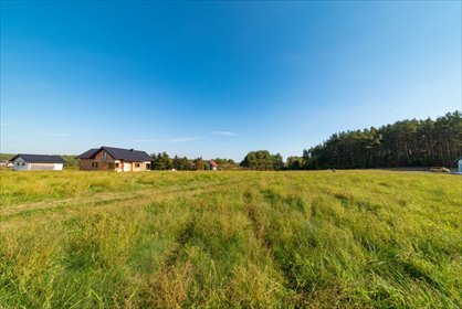 działka na sprzedaż 7648m2 działka Robakowo, Mieszka