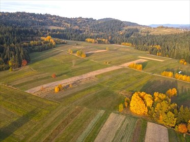 działka na sprzedaż 8222m2 działka Odrowąż