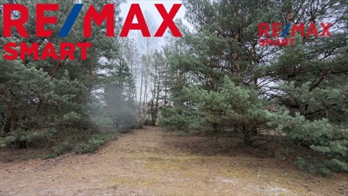 Działka 5500 m² z potencjałem inwestycyjnym w Michałowie działka Michałów