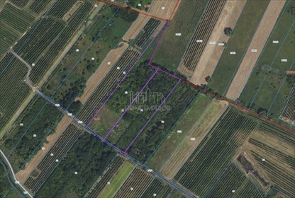 działka na sprzedaż 22167m2 działka Góra Kalwaria