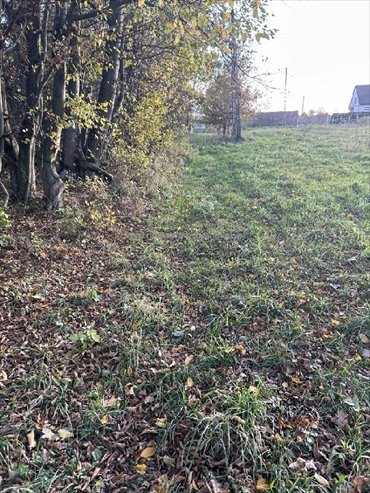 działka na sprzedaż 5000m2 działka Barwałd Górny