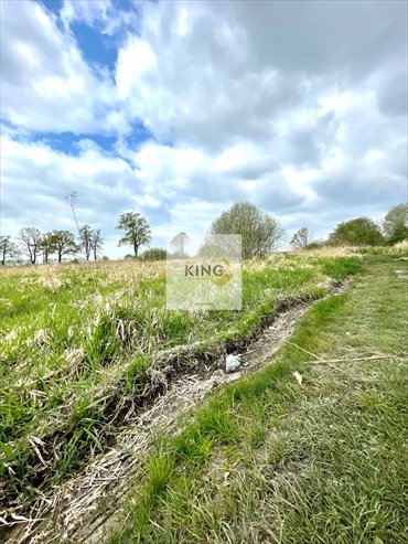 Działka rolna 52 223 m² z dostępem do jeziora - polecam! działka Lubiatowo