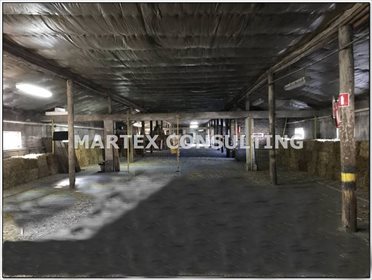 Magazyn na sprzedaż Wodzisław Śląski 18 335m2 Foto 4